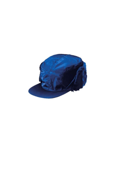 BLUE_WORK_CAP_5771